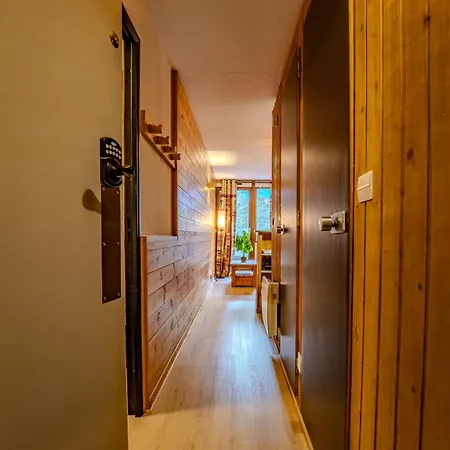 Spacious Slope Front Ski-in And Out Appartement
